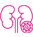 Kidney Cancer