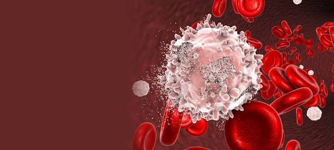 Main Types of Blood Cancer